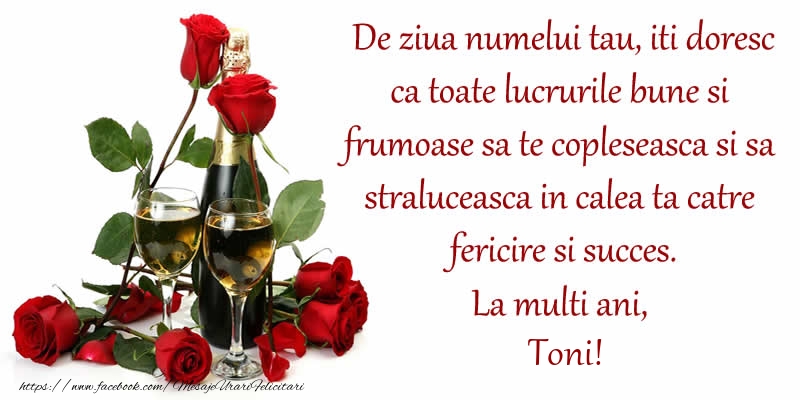 De ziua numelui tau, iti doresc ca toate lucrurile bune si frumoase sa te copleseasca si sa straluceasca in calea ta catre fericire si succes. La Multi Ani, Toni! - Felicitari onomastice cu sampanie