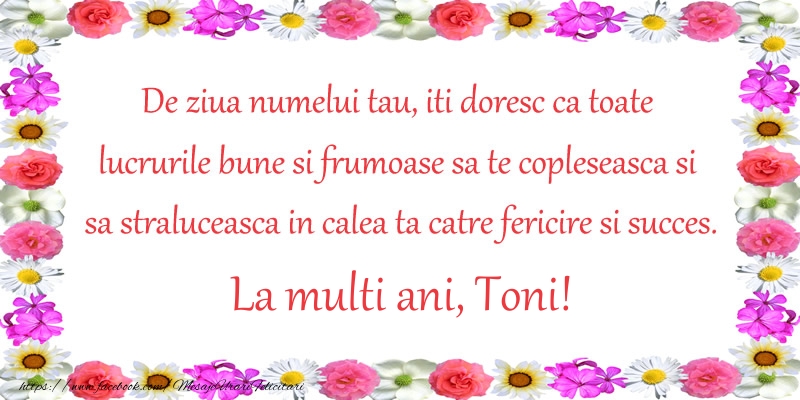 De ziua numelui tau, iti doresc ca toate lucrurile bune si frumoase sa te copleseasca si sa straluceasca in calea ta catre fericire si succes. La Multi Ani Toni! - Felicitari onomastice cu flori